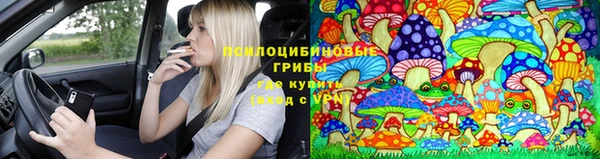 спайс Баксан