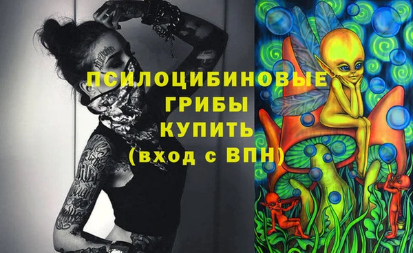 спайс Баксан