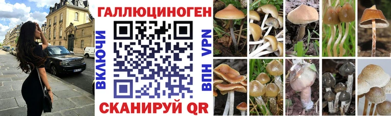 Галлюциногенные грибы Psilocybine cubensis Рузаевка